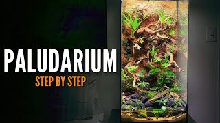 How to build a Paludarium Vivarium [upl. by Thorn]