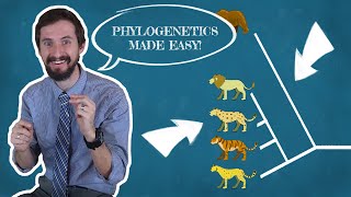 Clint Explains Phylogenetics  There are a million wrong ways to read a phylogenetic tree [upl. by Motch]