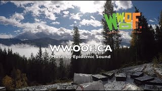 WWOOF IS LIFE [upl. by Worl]