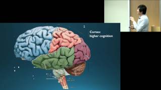 Dr Octavio Choi presents Brain Basics An Introduction to Cognitive Neuroscience [upl. by Kenwrick]