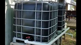 DIY Rainwater Harvesting amp Collection System [upl. by Teews]