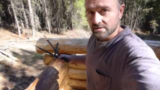 Off Grid Log Cabin Build  Scribe Fit Part 1 [upl. by Ajit]