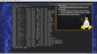 Linux  08  Entrée sorties  Input Output [upl. by Belford]