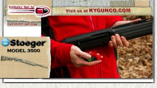 Stoeger 3500 Review and Range Test [upl. by Ytte476]