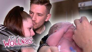 Hurra 😍 Der kleine Linus Tim ist da 👶🎉  Folge 280  Die Wollnys  RTLZWEI [upl. by Noach]