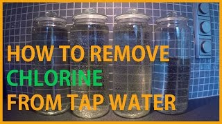 HOW TO REMOVE CHLORINE FROM TAP WATER [upl. by Ahsar]