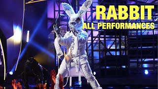 Rabbit All Performances amp Reveal Masked Singer [upl. by Yrrac]