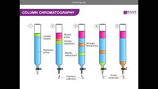 Chromatography AQA A level Chemistry [upl. by Ener490]