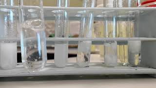 Qualitative analysis of cations part 2 [upl. by Rorie]