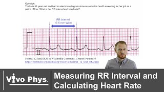 Measuring RR Interval and Calculating Heart Rate [upl. by Singer730]