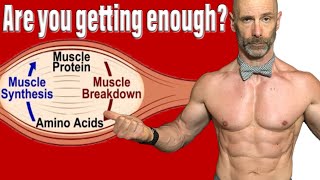 The Most Important Amino Acid For Muscle Growthand Fat Loss [upl. by Xonk]