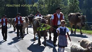 Abschied von der Alp Teil 3 … Alpabfahrt im Toggenburg mit dem Jodlerklub Männertreu Nesslau [upl. by Aihpos]