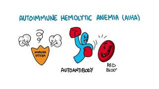 Autoimmune Hemolytic Anemia [upl. by Nurse]