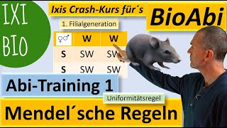 Mendelsche Regeln anwenden A  Kreuzungen auswerten zur Abiturvorbereitung – Unabhängigkeitsregel [upl. by Nahgrom]