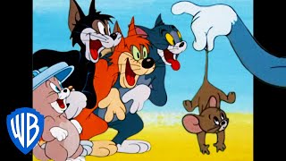 Tom amp Jerry  What a Catastrophe  Classic Cartoon Compilation  WB Kids [upl. by Alam]