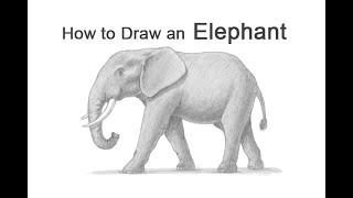 How to Draw an Elephant [upl. by Clerissa]