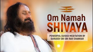 Powerful Om Namah Shivaya Chanting Meditation By Gurudev Sri Sri Ravi Shankar  Lord Shiva Mantra [upl. by Yanffit711]