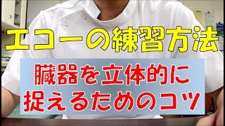 【エコー検査】超音波検査士が教える！エコーを立体的に見るコツ！ [upl. by Nadoj]