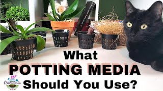 How To Choose The Right Potting Medium for Your Orchid [upl. by Nuahs]