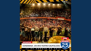 Volver a Sentir En Vivo en el Teatro Caupolicán [upl. by Analak924]