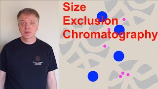 Size Exclusion Chromatography SEC [upl. by Creedon594]