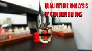 Lab Experiment 8 Qualitative Analysis of Common Anions [upl. by Raffaj673]