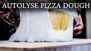 No Music How To Make Perfect Neapolitan Pizza Dough With Autolyse  Autolyse Pizza Dough Recipe [upl. by Bender134]