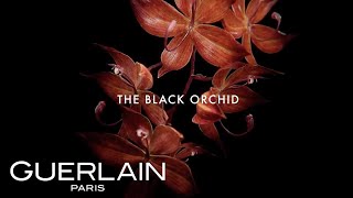 GUERLAIN  Orchidée Impériale The Black Orchid [upl. by Cirted]