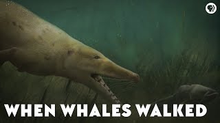 When Whales Walked [upl. by Carolus880]