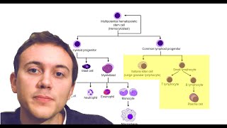 How does a patient know the stage of myeloma myeloma [upl. by Hniv969]