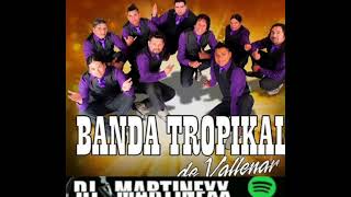 MIX BANDA TROPIKAL 2020 🔥DJ MARTINEXX🔥 [upl. by Norha916]