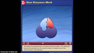 How Enzymes Work Animation [upl. by Frederik952]