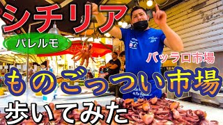 【南イタリア】シチリア パレルモのバッラロ市場を歩く スティッギョーラ パニーニ アランチーノ〜Italy in Palermo walking in Ballaro Local Market 〜 [upl. by Harvison]