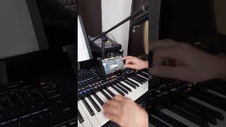 Demo Set Korg Pax5 2025 [upl. by Ealasaid]