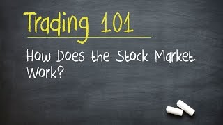 Trading 101 How Does the Stock Market Work [upl. by Aicatan]