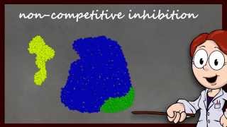 Enzyme Function and Inhibition [upl. by Ahsinyt]