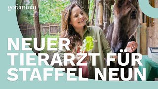 Neue Staffel quotTierärztin Dr Mertensquot mit prominentem Neuzugang [upl. by Nnylirehs]