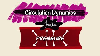 Circulation Dynamics  Part 3  Pressure  Hemodynamics  Cardiac Physiology [upl. by Hepza]