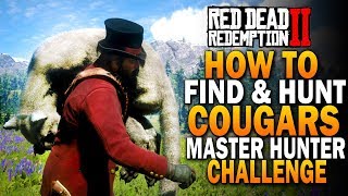 How To Find amp Hunt Cougars Rare White Cougar Red Dead Redemption 2 Hunting Challenge RDR2 [upl. by Eenyaj]