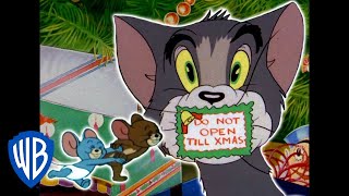 Tom amp Jerry in italiano  Natale a Casa  WB Kids [upl. by Merridie875]