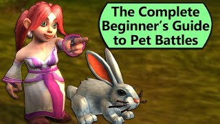 How to Get Started with Pet Battles From Scratch [upl. by Neeneg]