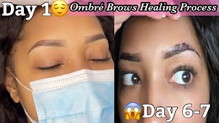 Ombre Brows Healing Process [upl. by Rodge]