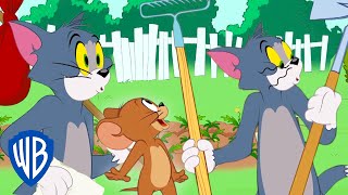 Tom amp Jerry  Tom Goes Home  WB Kids [upl. by Duahsar]