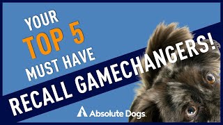 Top 5 Must Have RECALL Gamechangers [upl. by Clarke]