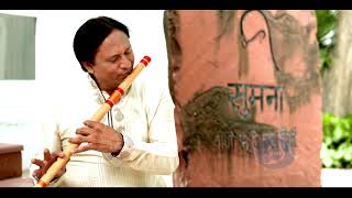 Vaishnav Jan To  Instrumental Folk  Gandhi  150 Years  Celebrations Doordarshan [upl. by Annovad]