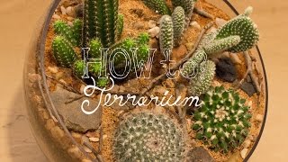 Make a Cactus Terrarium  How To Terrarium ep 4 [upl. by Anuska]