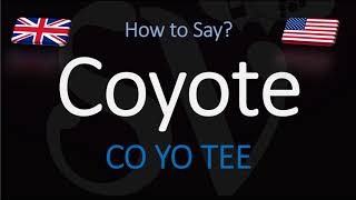 How to Pronounce Coyote  English American Pronunciation [upl. by Hild241]