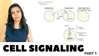 Cell Signaling Overview  Part 1 [upl. by Morril]