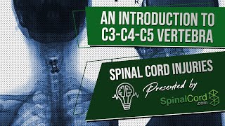 C3 C4 C5 Definitions Cervical Spinal Cord Injury Symptoms Causes Treatments and Recovery [upl. by Olegnalehcim]