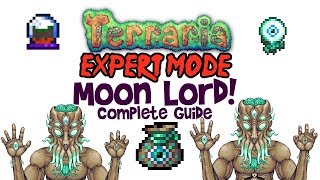 Terraria Moon Lord Guide Expert Mode amp Normal Arena Drops amp Fight MobileConsolePC [upl. by Nevak]